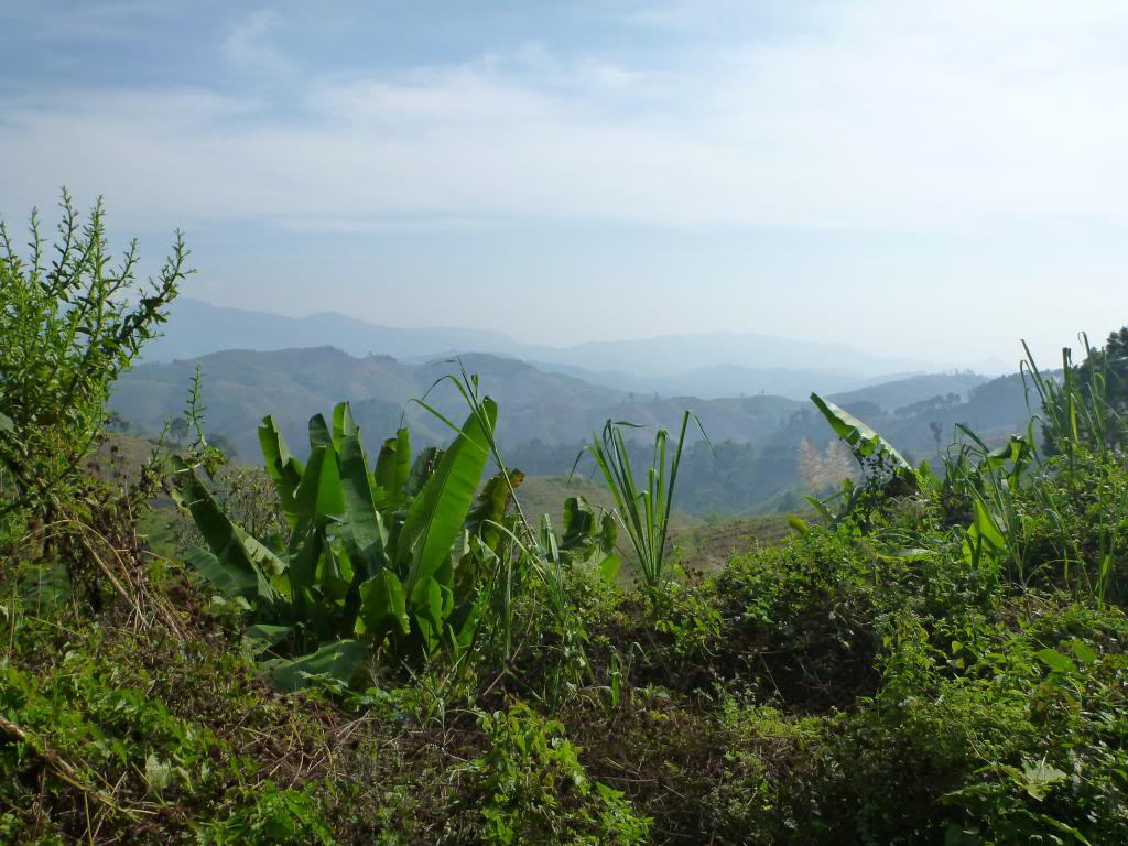 P1000016_zps07135f6d.jpg
