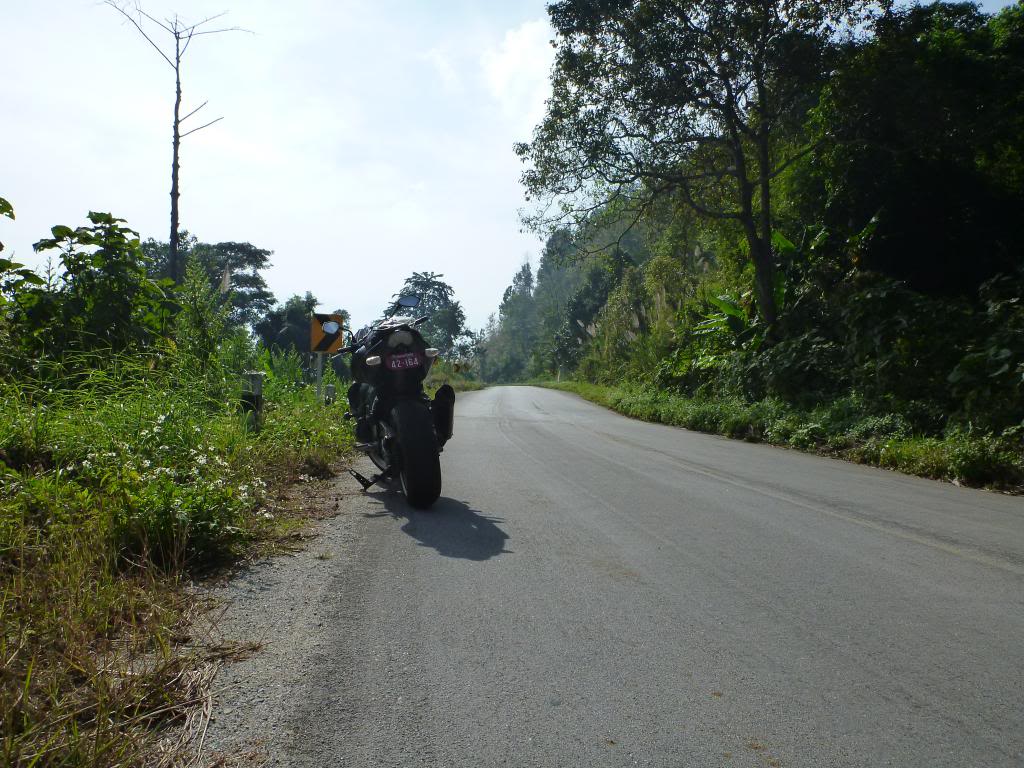 P1000018_zps6cf6a3eb.jpg