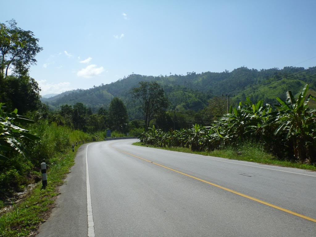 P1000107_zps8c7d1131.jpg