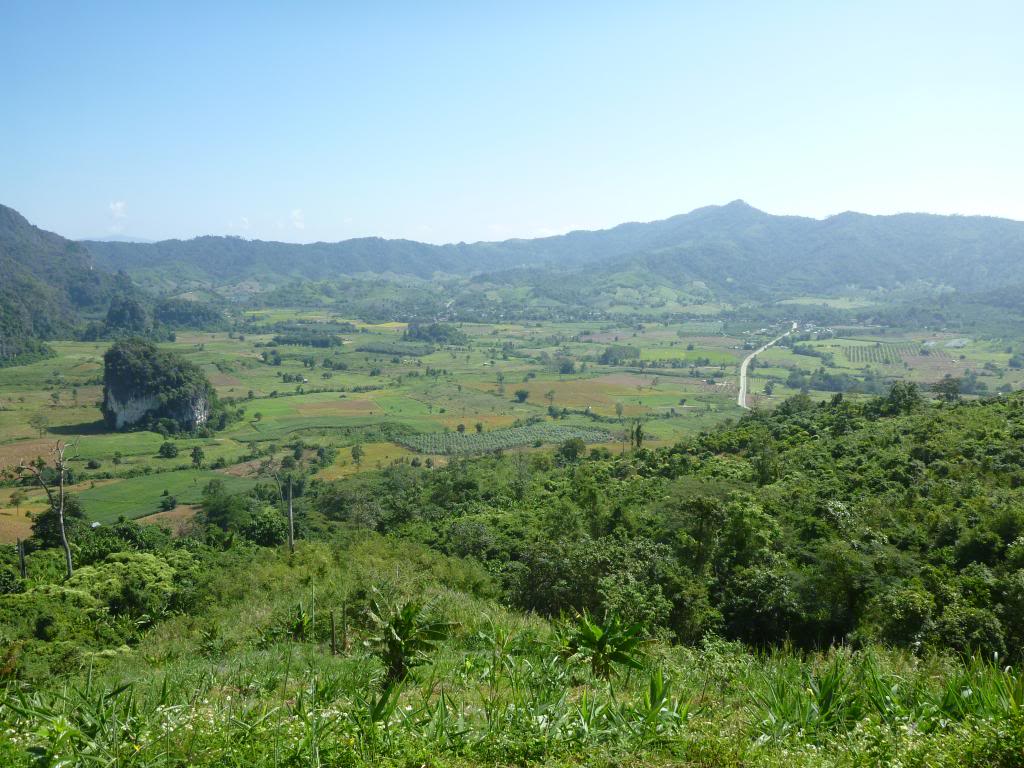 P1000114_zps3a255dc3.jpg