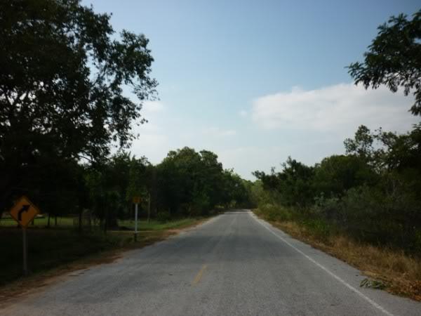 P1000154.jpg