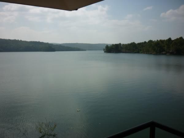 P1000158.jpg