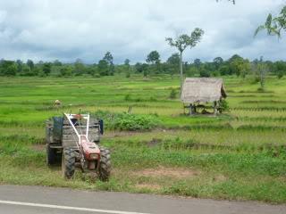 P1000450.jpg