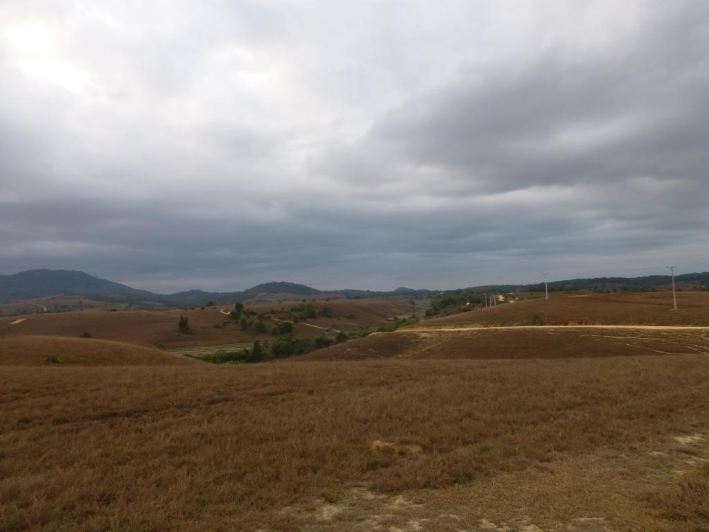 P1000608_zpsb46fd6b0.jpg
