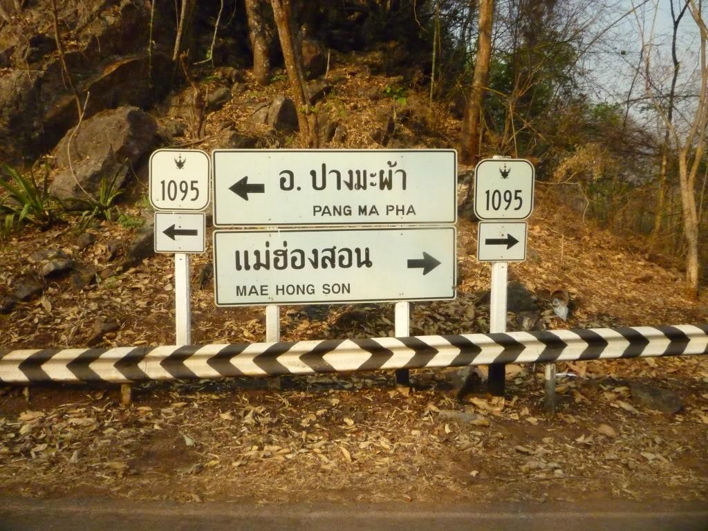 P1000823.jpg