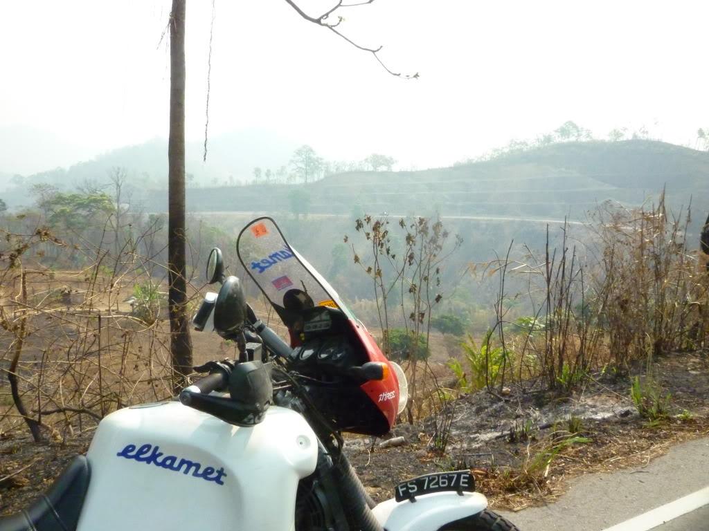 P1000845.jpg