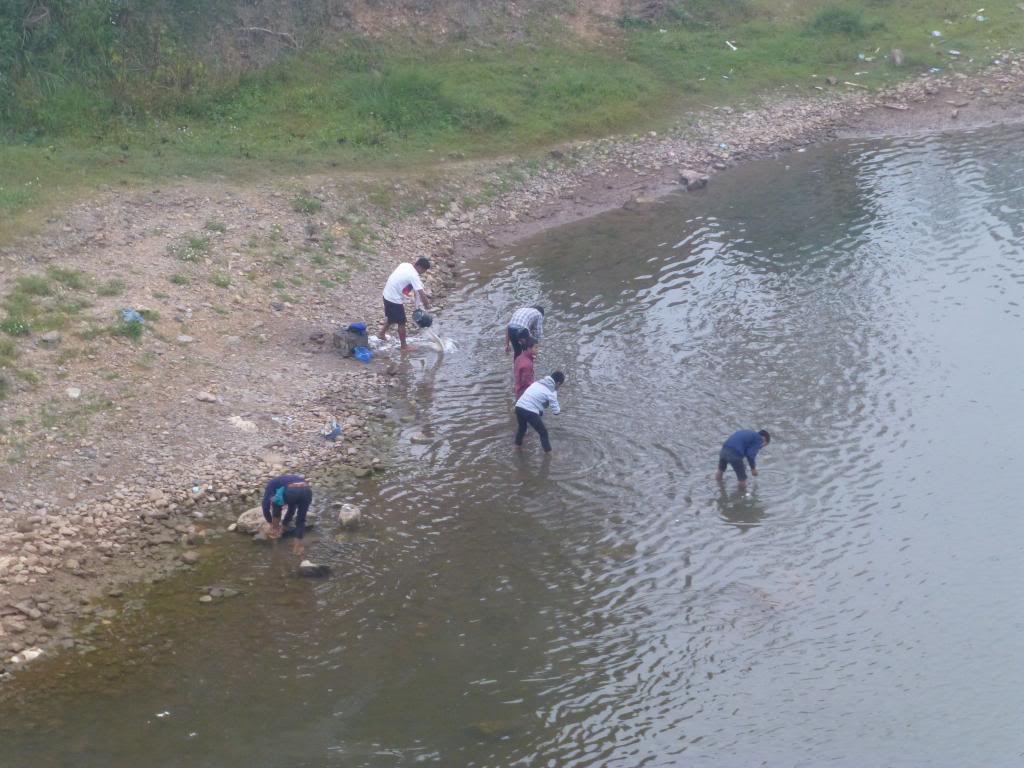 P1000858_zps82264473.jpg