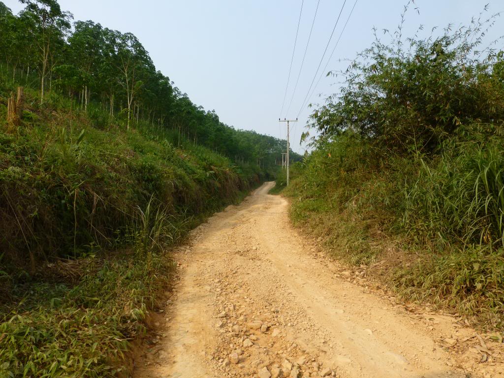 P1000872_zps7136812f.jpg