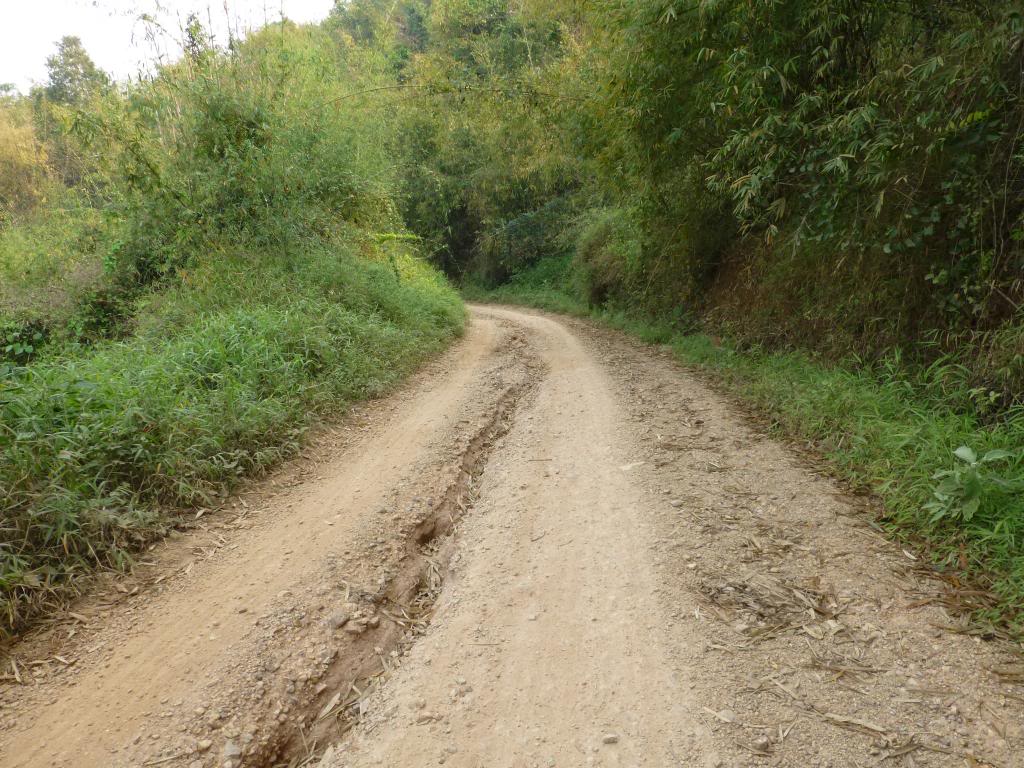 P1000879_zpsef00ff43.jpg