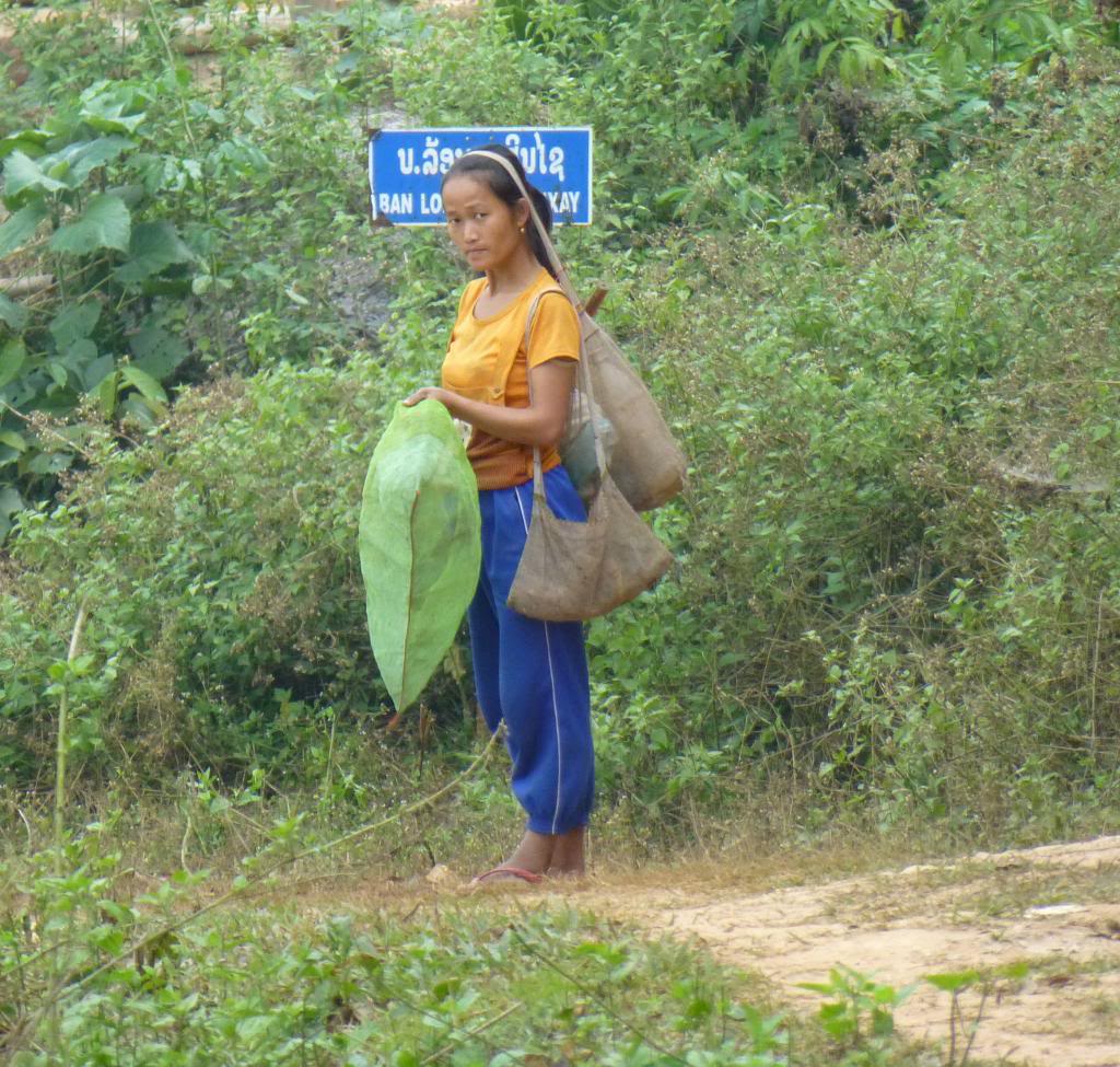 P1000888_zps88d7d429.jpg