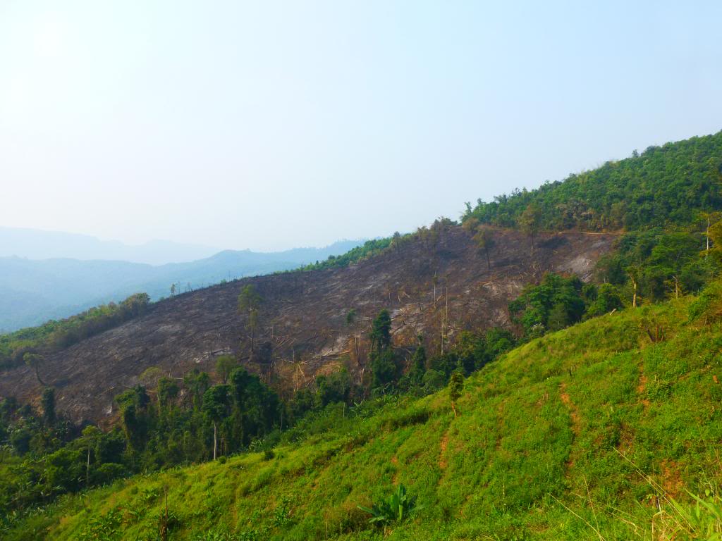 P1000891_zpsa28ca33a.jpg