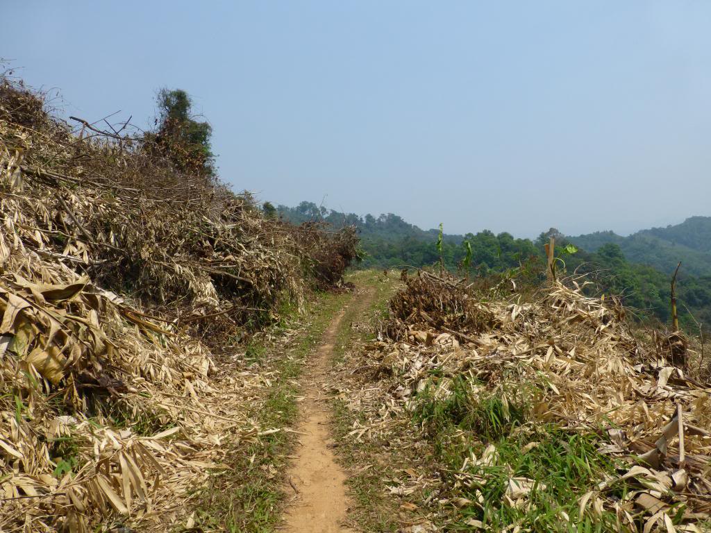 P1000914_zpse58af125.jpg