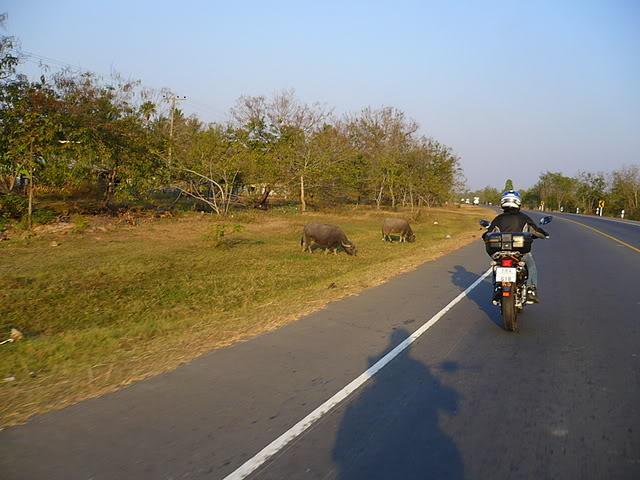 P1000962.jpg