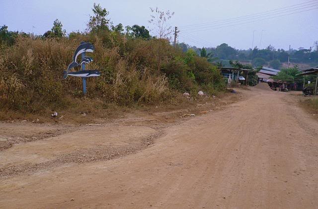 P1010013.jpg