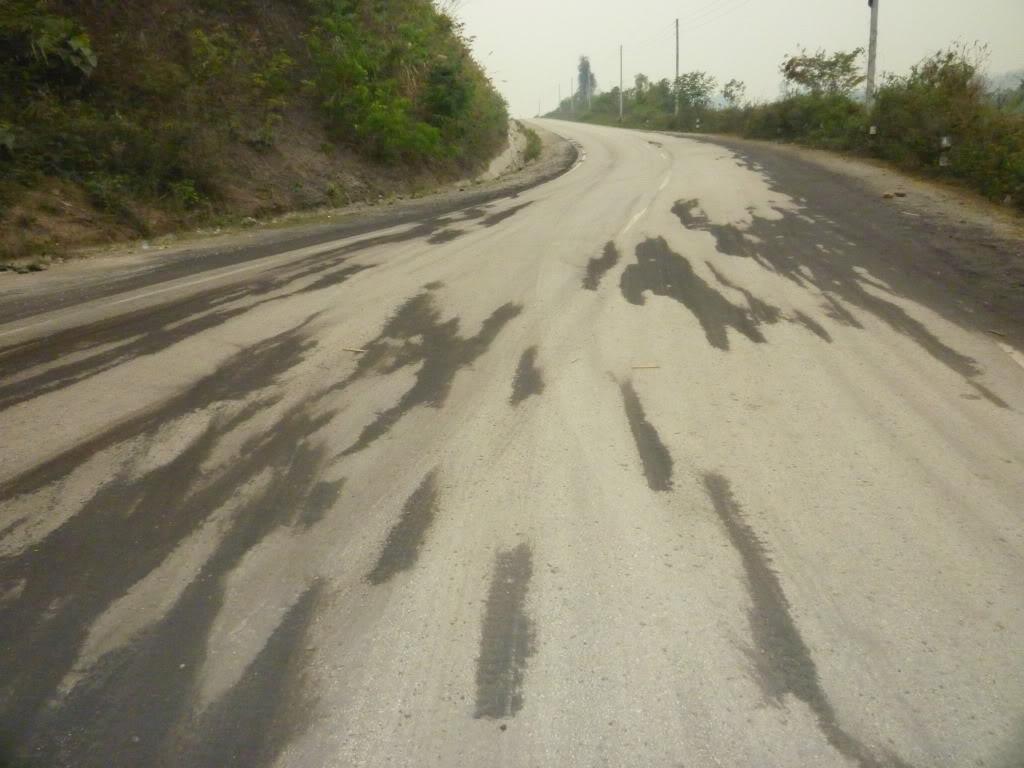 P1010017.jpg