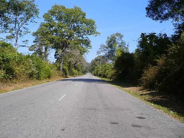 P1010026.jpg