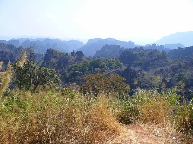 P1010034.jpg