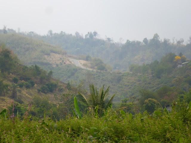 P1010389.jpg