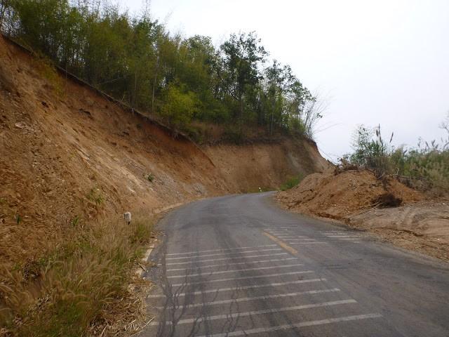 P1010390.jpg