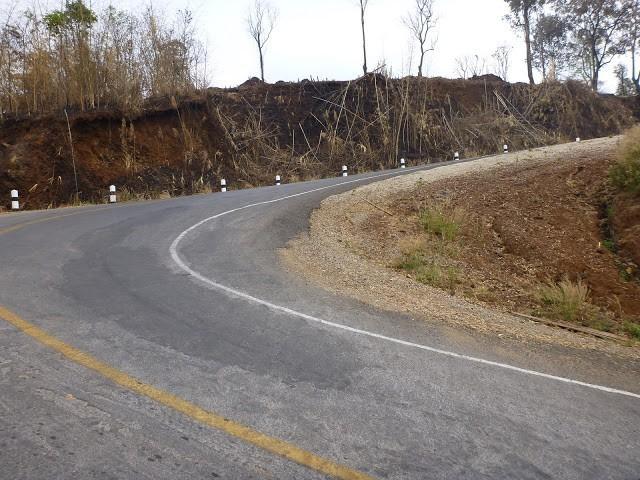 P1010394.jpg