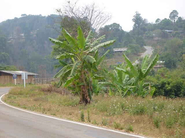 P1010395.jpg