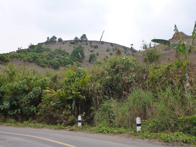 P1010398.jpg