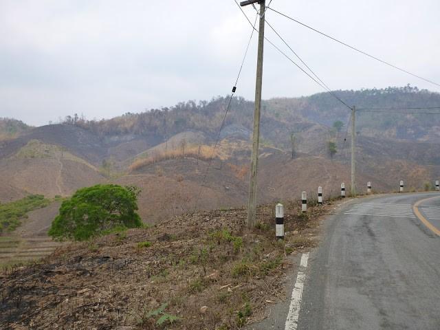 P1010400.jpg