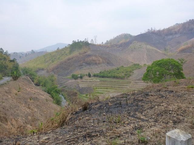 P1010401.jpg