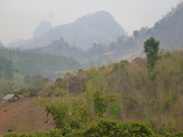 P1010404.jpg