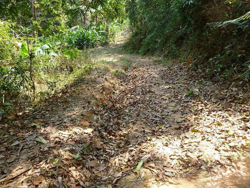 P1010431.jpg