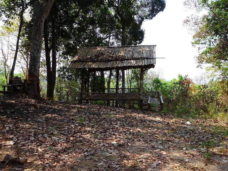 P1010443.jpg