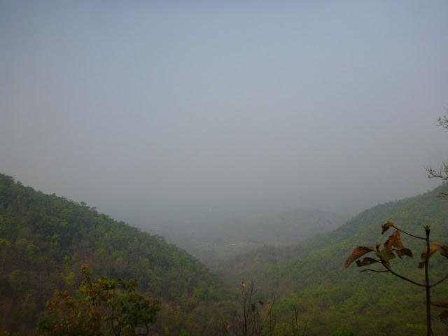 P1010491.jpg