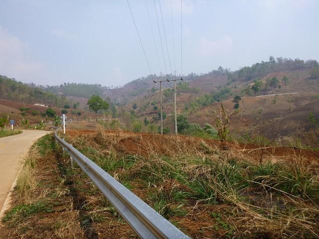 P1010790.jpg