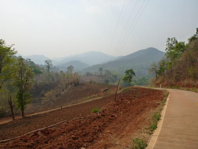 P1010792.jpg