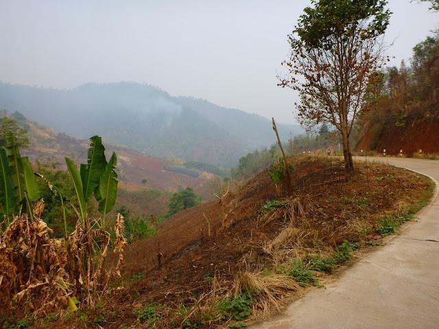 P1010813.jpg