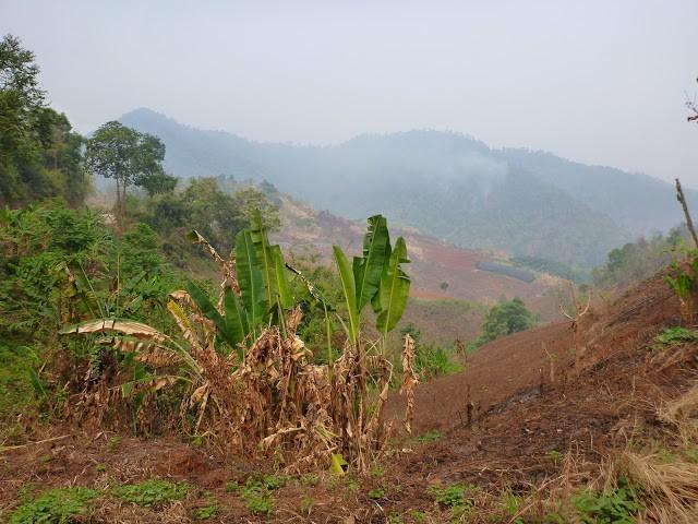 P1010814.jpg