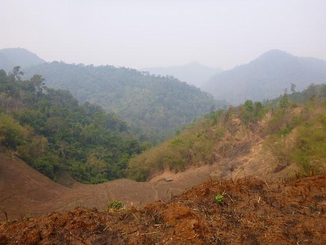 P1010816.jpg