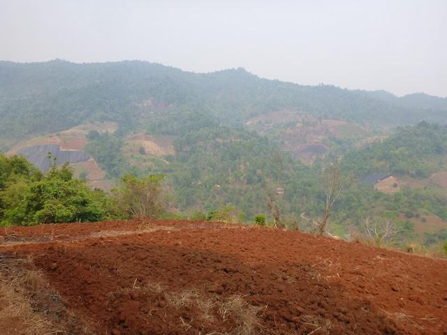 P1010823.jpg