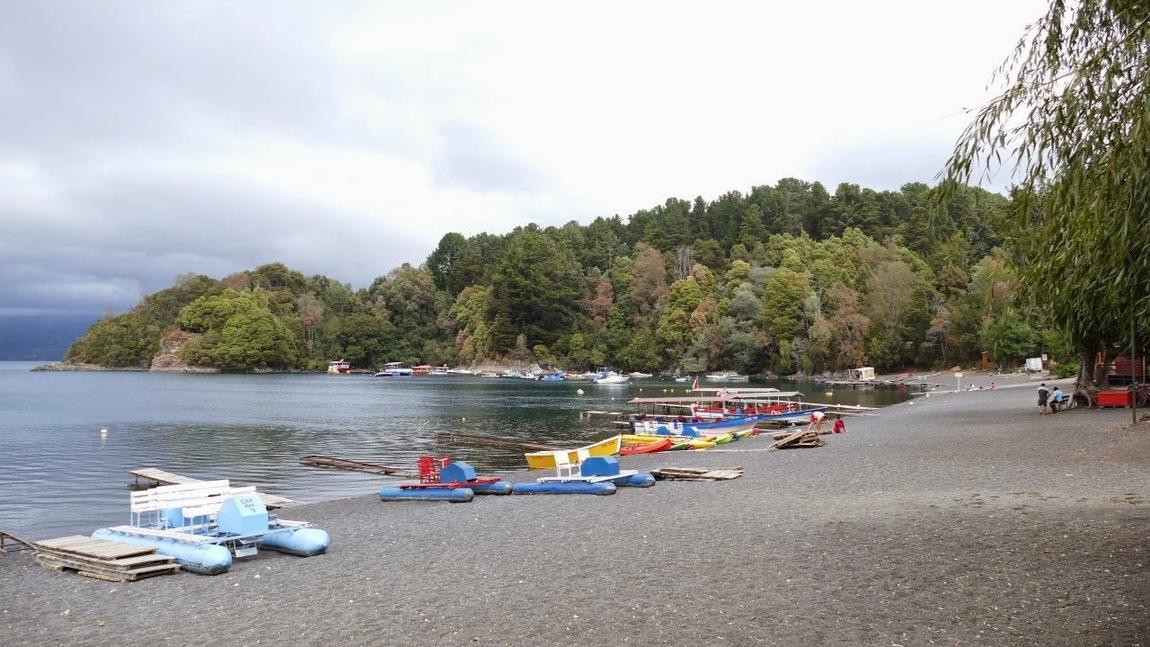P1060853.jpg