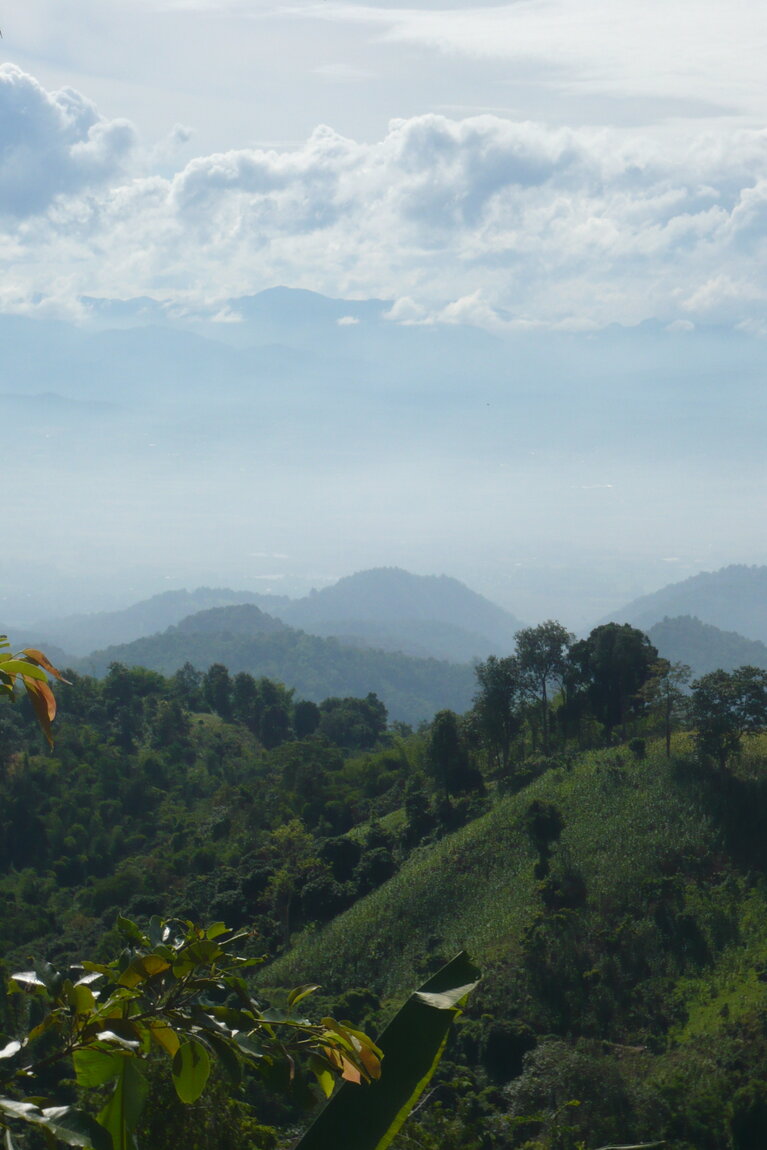P1100515.JPG
