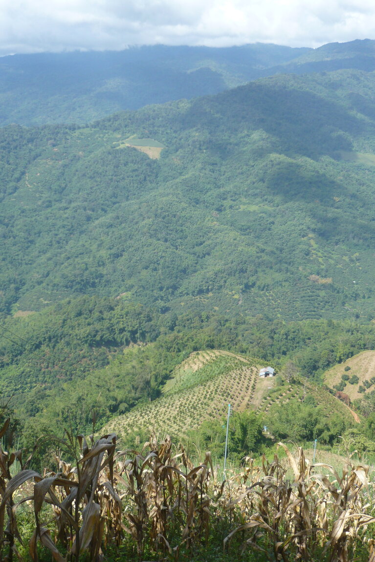 P1100517.JPG