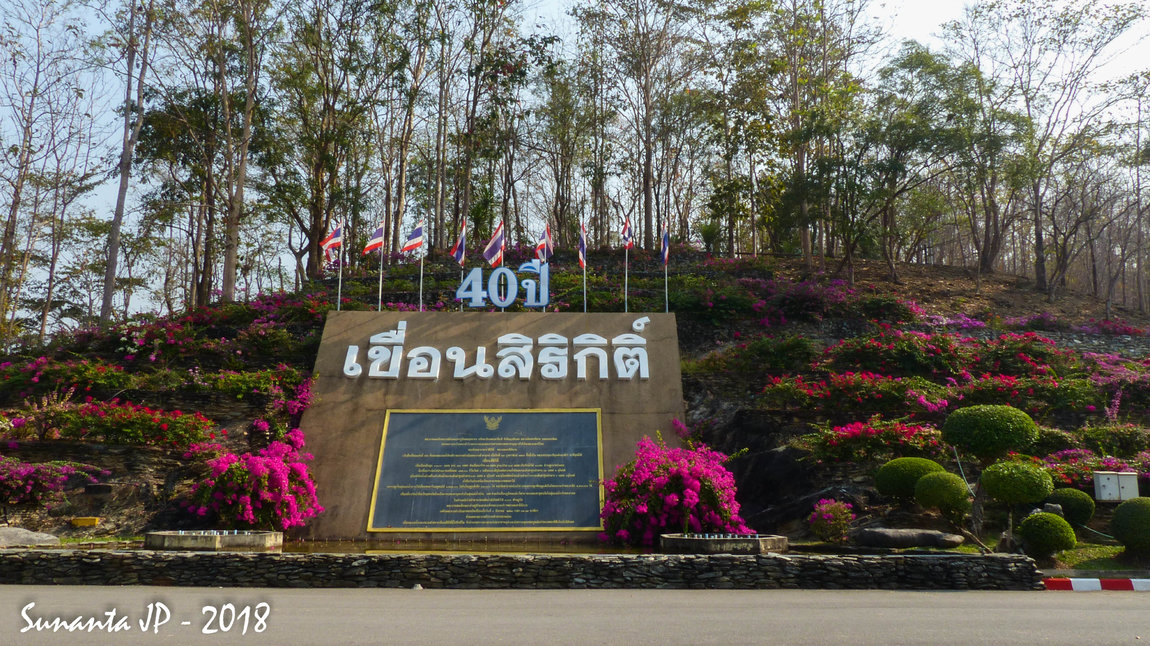 P1180107.JPG