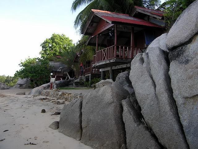 p12-2.jpg