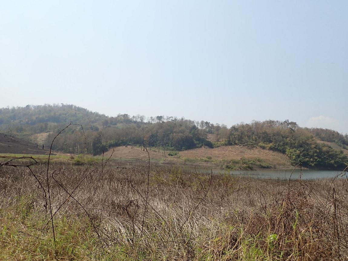 p2270865-jpg.jpg