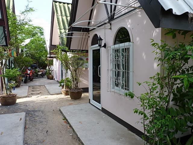 p4.jpg