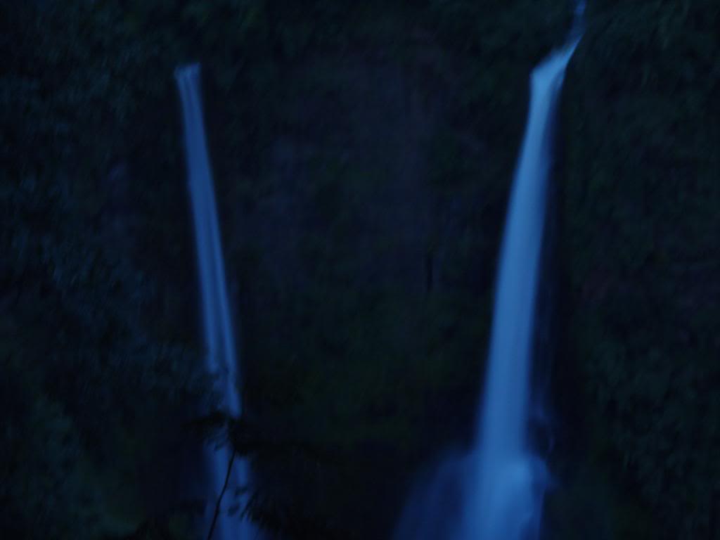 P6270198_zps1b85a3dc.jpg