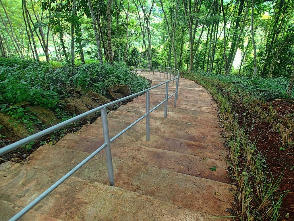 P8270115ps.jpg