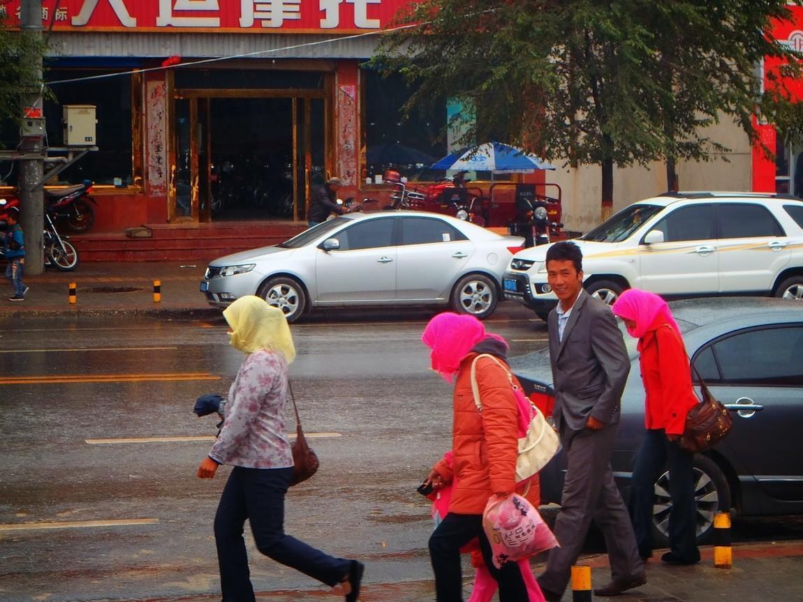 P9020135.jpg