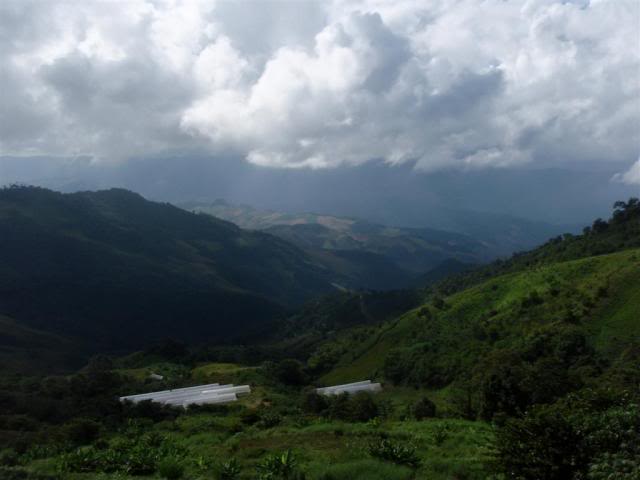 PA230031Large.jpg