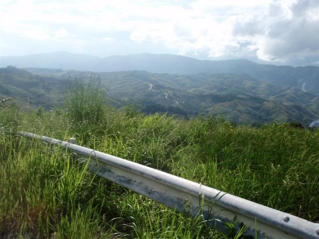 PA230035Large.jpg